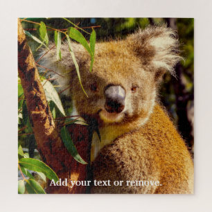Puzzle Oso de koala marrón cuajado comiendo hojas de euc