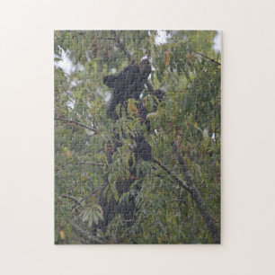 Puzzle Oso de las montañas humeantes