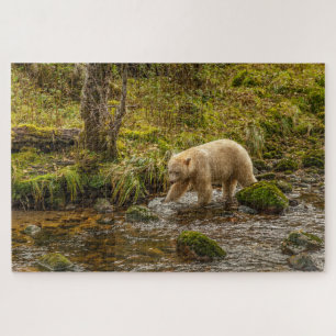 Puzzle Oso Espíritu Blanco caza peces en el arroyo Riorda