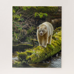 Puzzle Oso Espíritu Blanco   Columbia Británica, Canadá