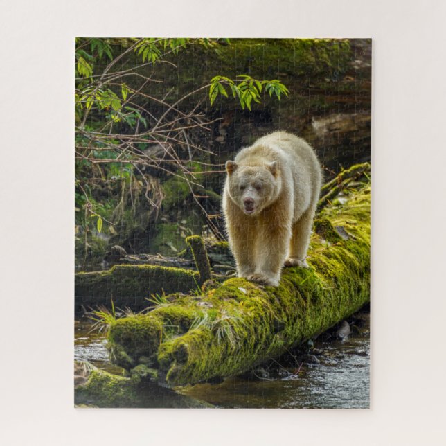 Puzzle Oso Espíritu Blanco | Columbia Británica, Canadá (Vertical)