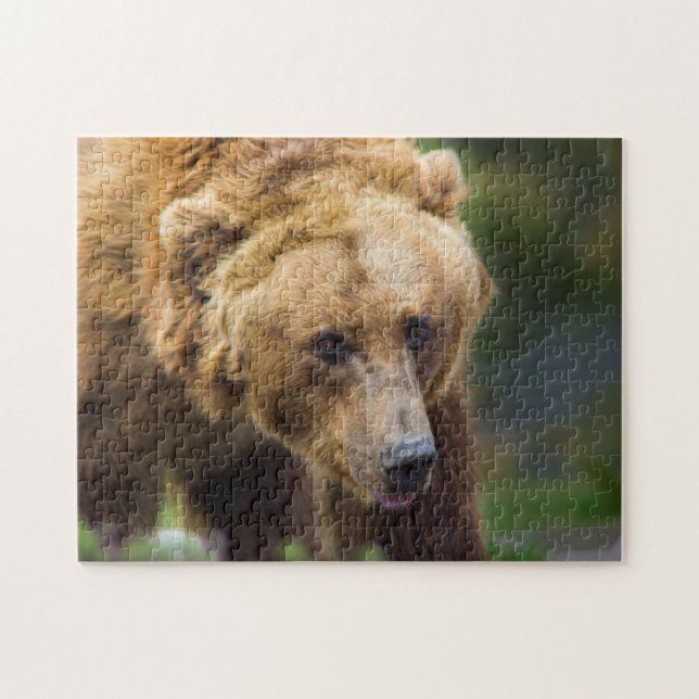 Puzzle Oso grizzly (Horizontal)