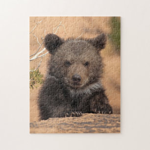 Puzzle Oso grizzly Cub
