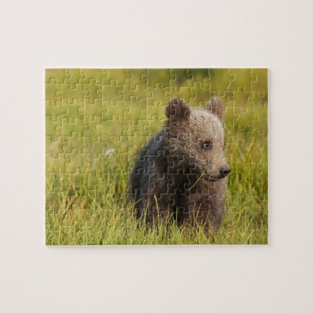 Puzzle Oso grizzly Cub (Horizontal)