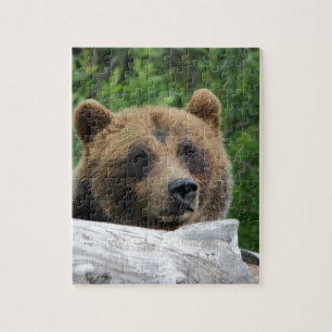 Puzzle Oso grizzly de Alaska, el Kodiak