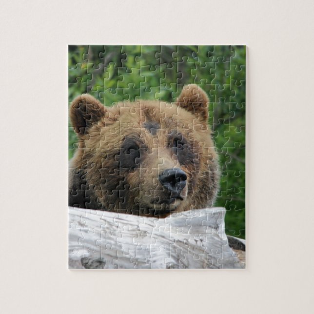 Puzzle Oso grizzly de Alaska, el Kodiak (Vertical)