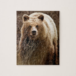 Puzzle Oso Grizzly Marrón Salvaje