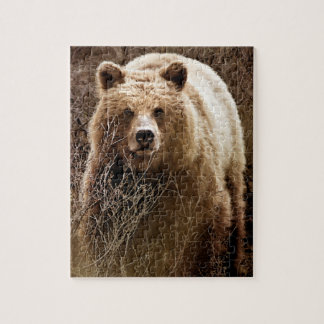 Puzzle Oso Grizzly Marrón Salvaje