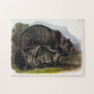 Puzzle Oso Grizzly (Oso Marrón Norteamericano) - Audubon