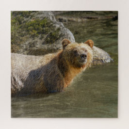 Puzzle Oso Grizzly Salvaje En El Río Orford