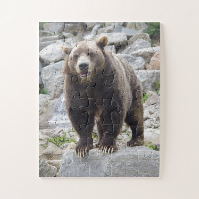 Puzzle Oso Kodiak (Vertical)