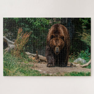 Puzzle Oso marrón