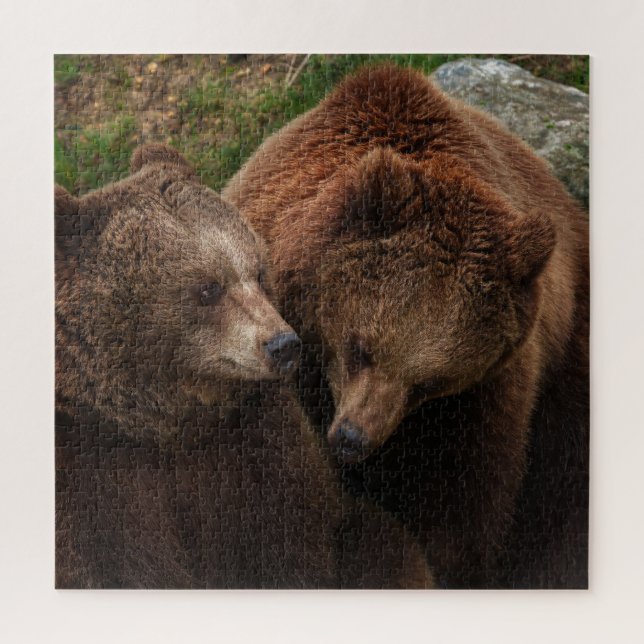 Puzzle Oso Marrón: Una Mujer Mirando A Un Hombre (Vertical)