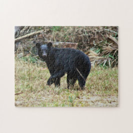 Puzzle Oso Negro de Florida