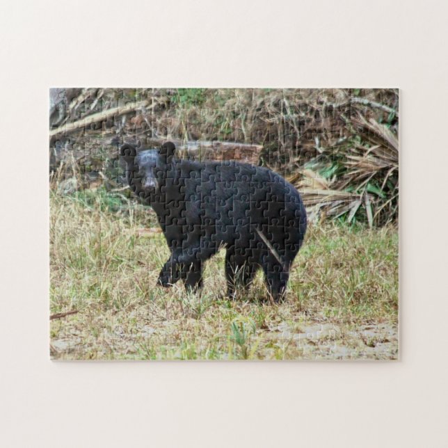 Puzzle Oso Negro de Florida (Horizontal)