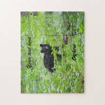 Oso negro en el bosque