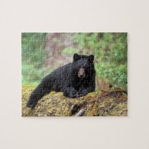 Puzzle Oso negro en un tronco de crecimiento antiguo en e
