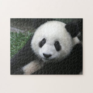 Puzzle Oso Panda sonriente