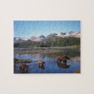 Puzzle Oso pardo, oso grizzly, cerda y crías en