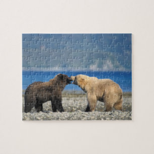 Puzzle Oso pardo, oso grizzly, jugar en la playa,