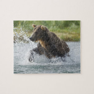 Puzzle Oso pardo persiguiendo salmón en el río
