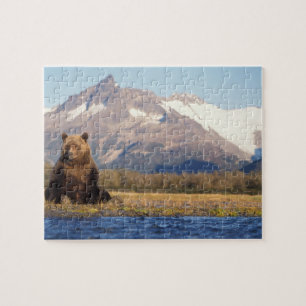 Puzzle oso pardo, Ursus arctos, oso grizzly, Ursus