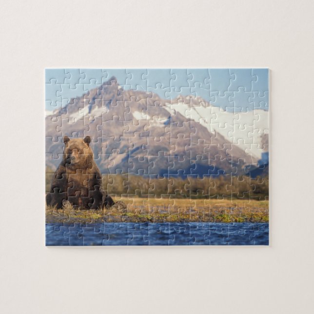 Puzzle oso pardo, Ursus arctos, oso pardo, Ursus (Horizontal)