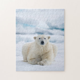 Puzzle Oso polar adulto en el hielo de verano