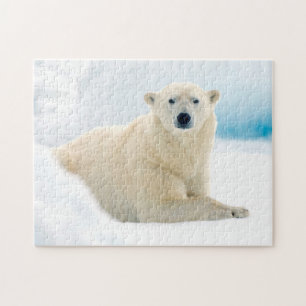 Puzzle Oso polar adulto gran verraco en el hielo de veran