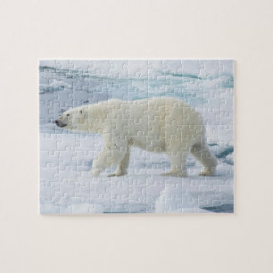 Puzzle Oso polar caminando, Noruega
