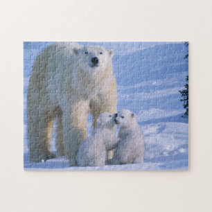 Puzzle Oso Polar de pie con dos oseznos en la mano