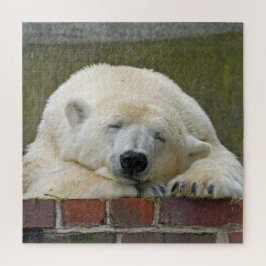 Puzzle Oso Polar Dormido
