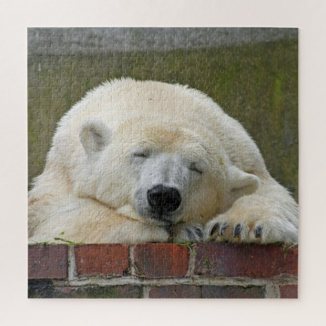Puzzle Oso Polar Dormido (Vertical)