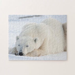 Puzzle Oso polar en invierno