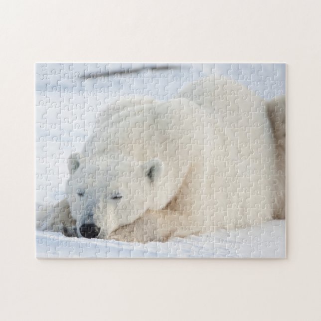 Puzzle Oso polar en invierno (Horizontal)