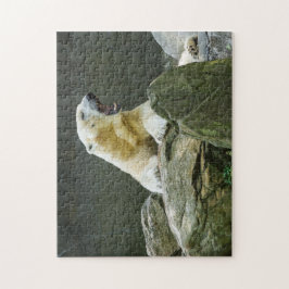 Puzzle Oso polar enojado