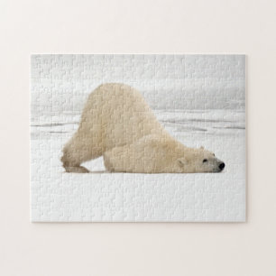 Puzzle Oso polar rascándose en la tundra congelada