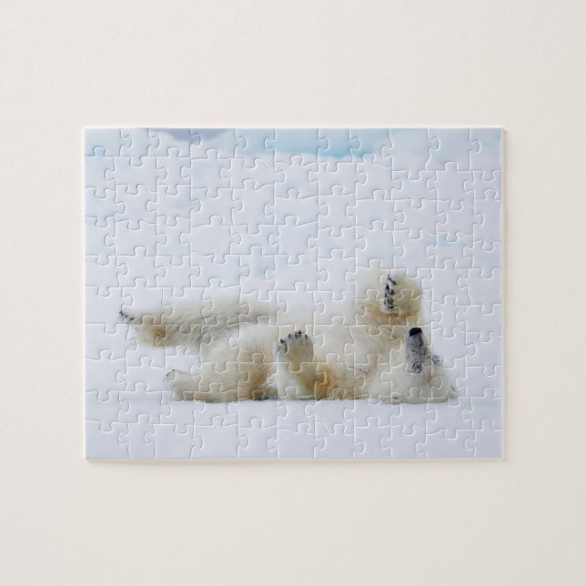 Puzzle Oso polar rodando en la nieve, Noruega (Horizontal)