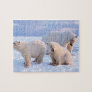 Puzzle Oso polar sembrado con costillas en hielo de la co