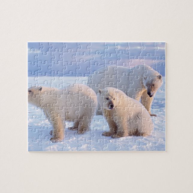 Puzzle Oso polar sembrado con costillas en hielo de la co (Horizontal)