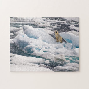 Puzzle Oso Polar sobre Iceberg Azul en la Esvalbard Ártic