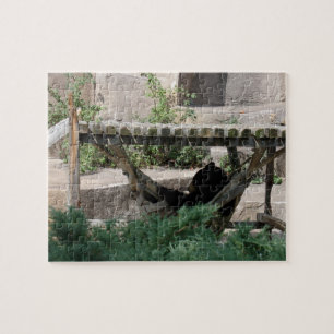 Puzzle Oso relajante en Hammock