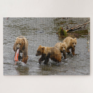 Puzzle Oso y 3 cachorros, Brooks Falls Alaska