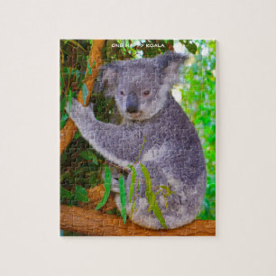 Puzzle Osos Koala