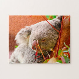 Puzzle Osos Koala.