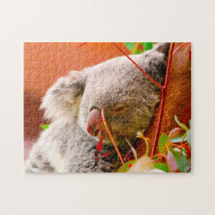 Puzzle Osos Koala.