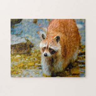 Puzzle Osos Mapaches.