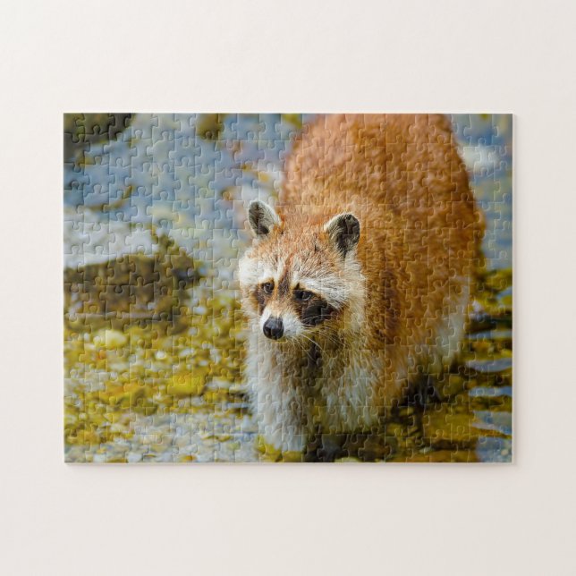 Puzzle Osos Mapaches. (Horizontal)