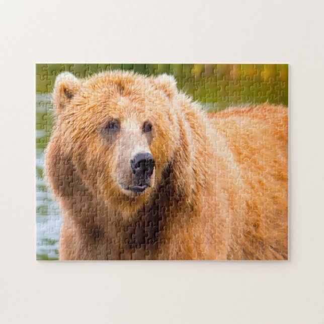 Puzzle Osos Marrones Kodiak. (Horizontal)