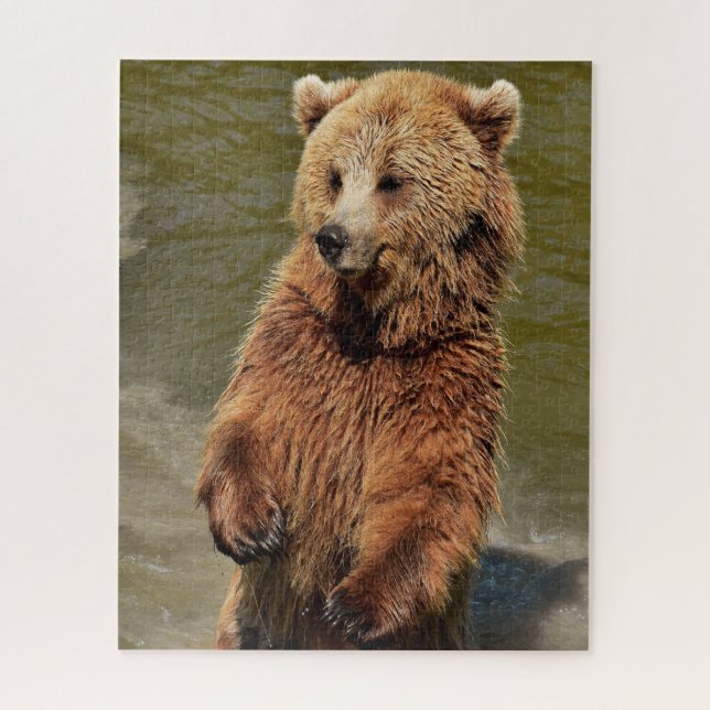 Puzzle Osos Marrones Salvajes. (Vertical)